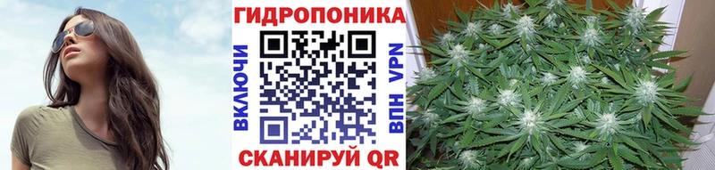Купить наркотики цена Вязьма Alpha-PVP  KRAKEN как зайти  Гашиш  Бошки Шишки  Амфетамин  COCAIN  Меф 