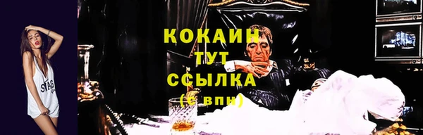 бошки Богородицк