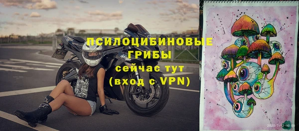 бошки Богородицк