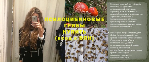 бошки Богородицк