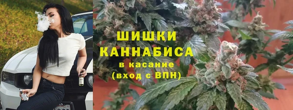 бошки Богородицк