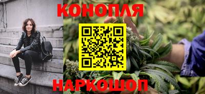 индика Белореченск