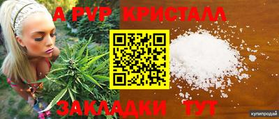 индика Белореченск
