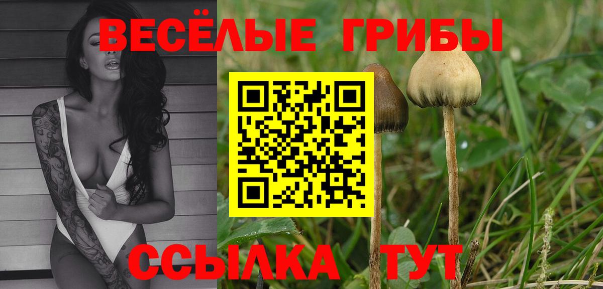 Псилоцибиновые грибы Magic Shrooms  дарнет шоп  Вязьма  Вход с VPN 